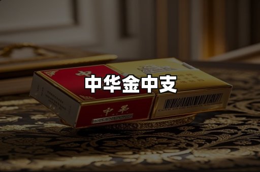 中华金中支